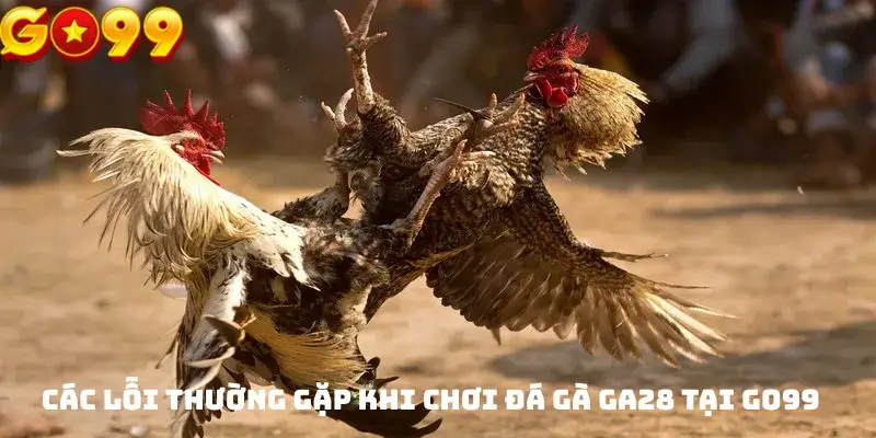 Các lỗi thường gặp khi chơi Đá gà GA28 tại GO99