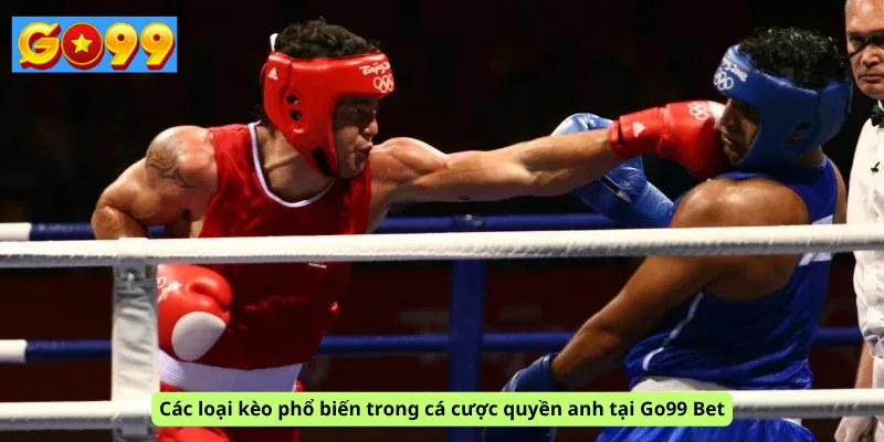 Các loại kèo phổ biến trong cá cược quyền anh tại Go99 Bet